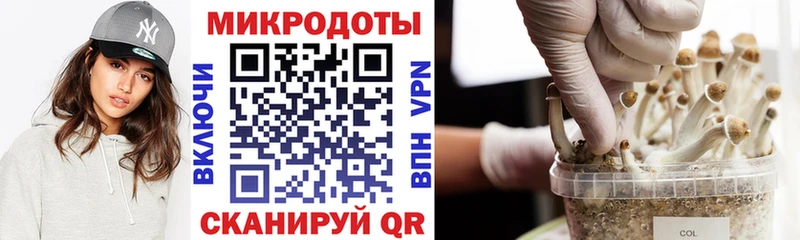 Галлюциногенные грибы Magic Shrooms  Нижний Новгород 